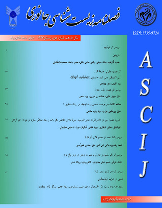 بندانگشتی