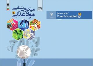 بندانگشتی