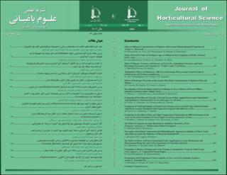 بندانگشتی