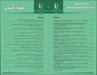 بندانگشتی