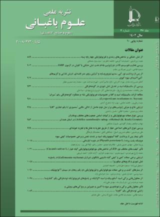 بندانگشتی